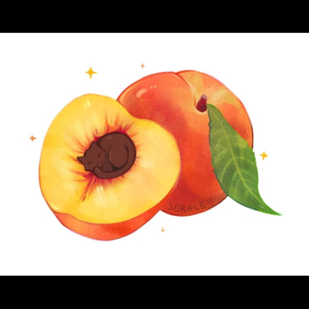 Meet your Posher, Lizbeth